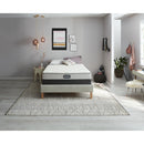  Beautyrest Edgar Plush Tight Top Mattress (Queen) IMAGE 6