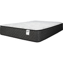  Springwall White Label Medium Firm Tight Top Bed-in-a-Box Mattress (Queen) IMAGE 2